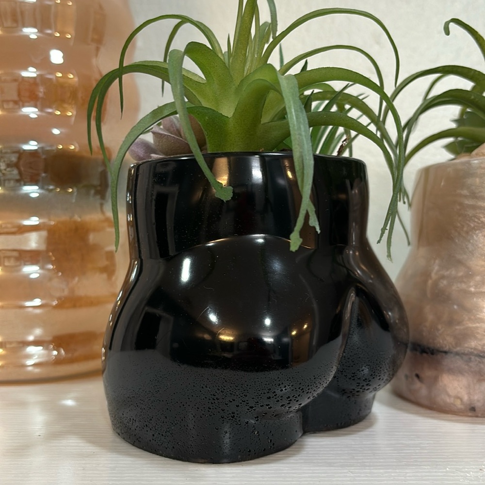 NWT "Curvy" Planter